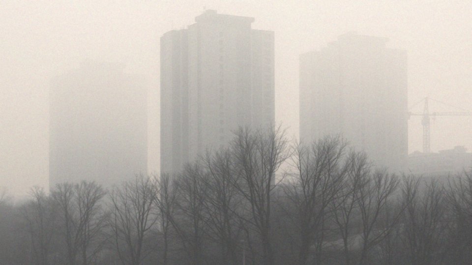 Jak smog wpływa na zdrowie ludzi?