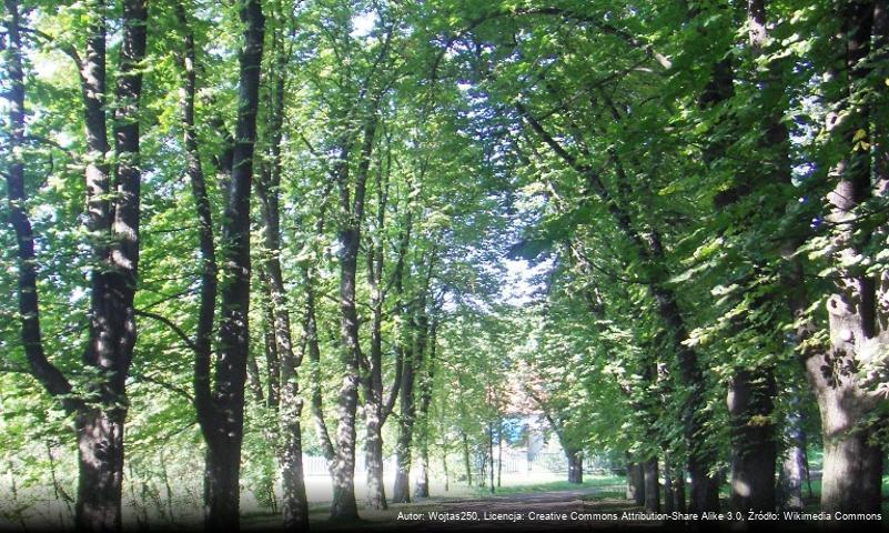 Park miejski im. Adama Mickiewicza w Wieliczce