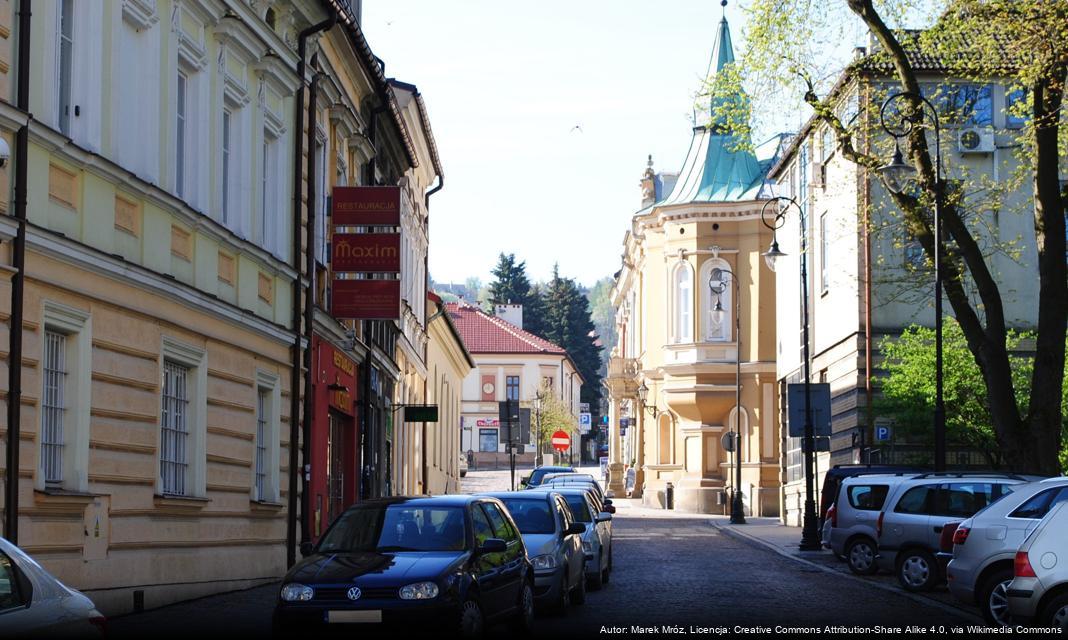 Nowy ogród hortensjowy w Czarnochowicach