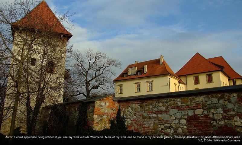 Zamek Żupny